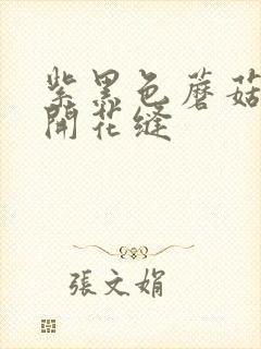 紫黑色蘑菇头顶开花缝