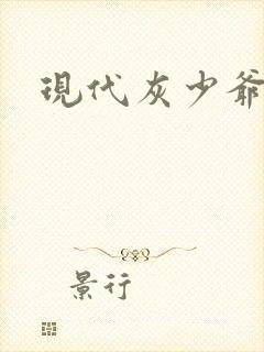 现代灰少爷