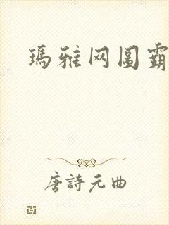 玛雅网图霸天下