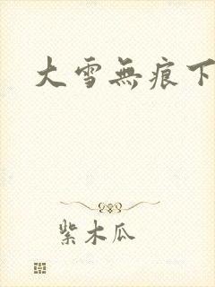 大雪无痕下载