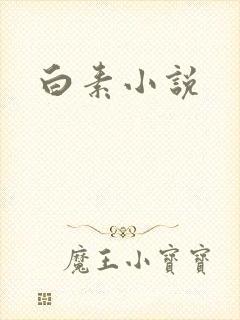 白素小说