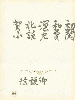 贺北溟和初夏的小说免费阅读无弹窗