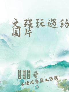 文强玩过的女人图片