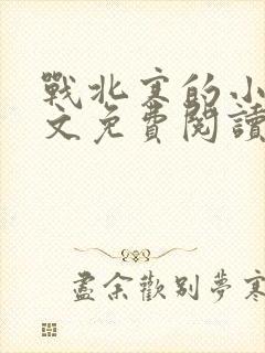 战北寒的小说全文免费阅读无弹窗