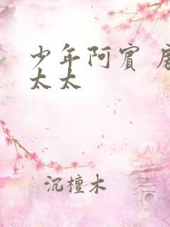 少年阿宾 房东太太