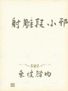 射雕段小邪传