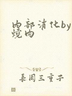 内部消化by红烧肉