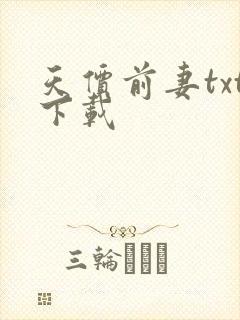 天价前妻txt下载