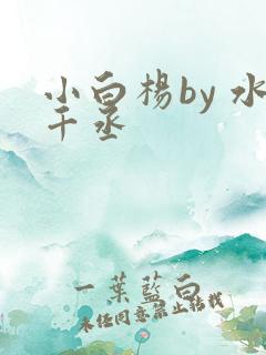 小白杨by 水千丞