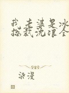 我老婆是冰山女总裁沈浪全集