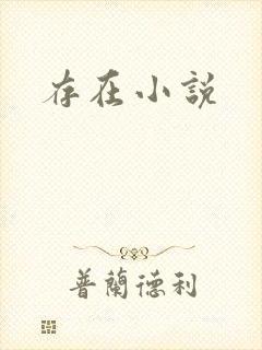 存在小说