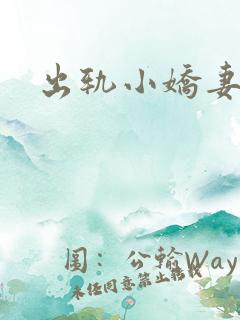 出轨小娇妻