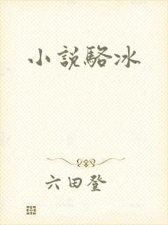 小说骆冰