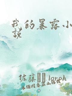 我的暴露小说小说