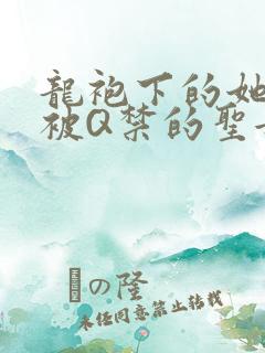 龙袍下的她皇嫂被Q禁的圣女