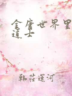 金庸世界里的小道士