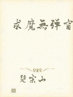 求魔无弹窗皮皮