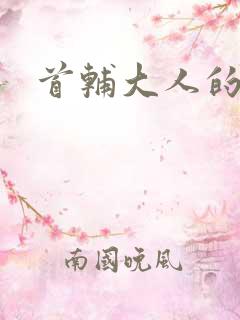 首辅大人的套路