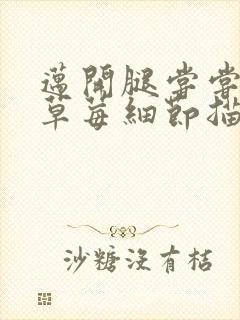 迈开腿尝尝你的草莓细节描写