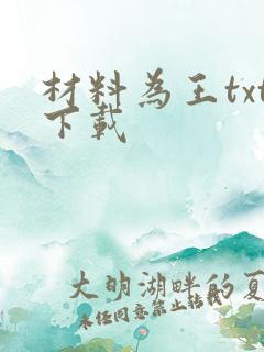 材料为王txt下载