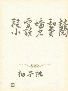 段雪娇和林杰的小说免费阅读