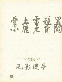 爱上电竞男神林小鹿免费阅读