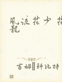 风流花少 花睿龙