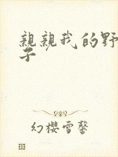 亲亲我的野猪王子