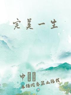 完美一生