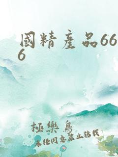国精产品6666