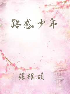 路感少年
