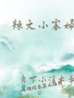 辣文小寡妇