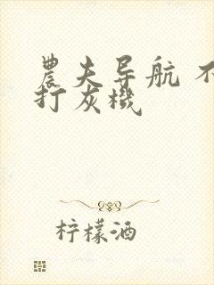 农夫导航 不准打灰机