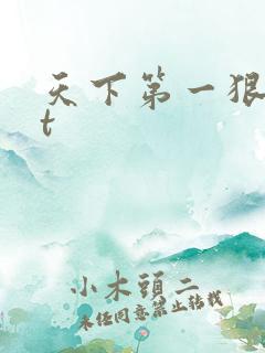 天下第一狠txt
