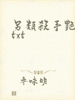 另类杀手艳福星txt