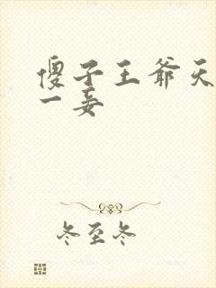 傻子王爷天下第一妾