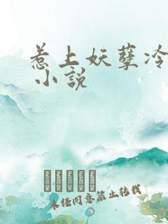 惹上妖孽冷殿下 小说