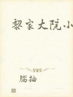 黎家大院小说