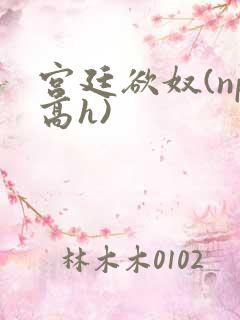 宫廷欲奴(np高h)