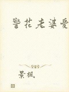 警花老婆爱上我