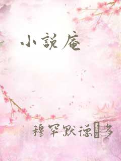 小说庵