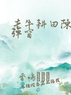 老牛耕田陈雪无弹窗