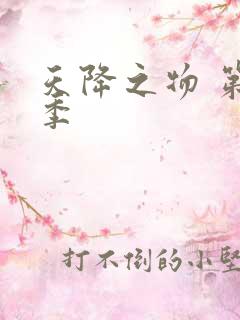 天降之物 第一季