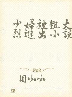 少妇被粗大的猛烈进出小说网