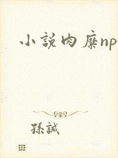 小说肉糜np