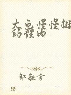 大龟慢慢挺进我的体内