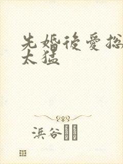 先婚后爱总裁别太猛