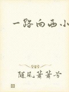 一路向西小说
