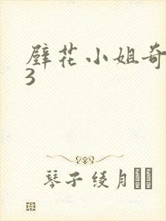 壁花小姐奇遇记3