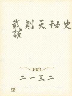 武则天秘史 小说